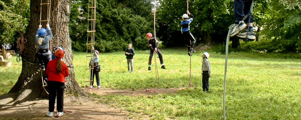 La pratique de la grimpe d'arbres pour les groupes d'enfants
