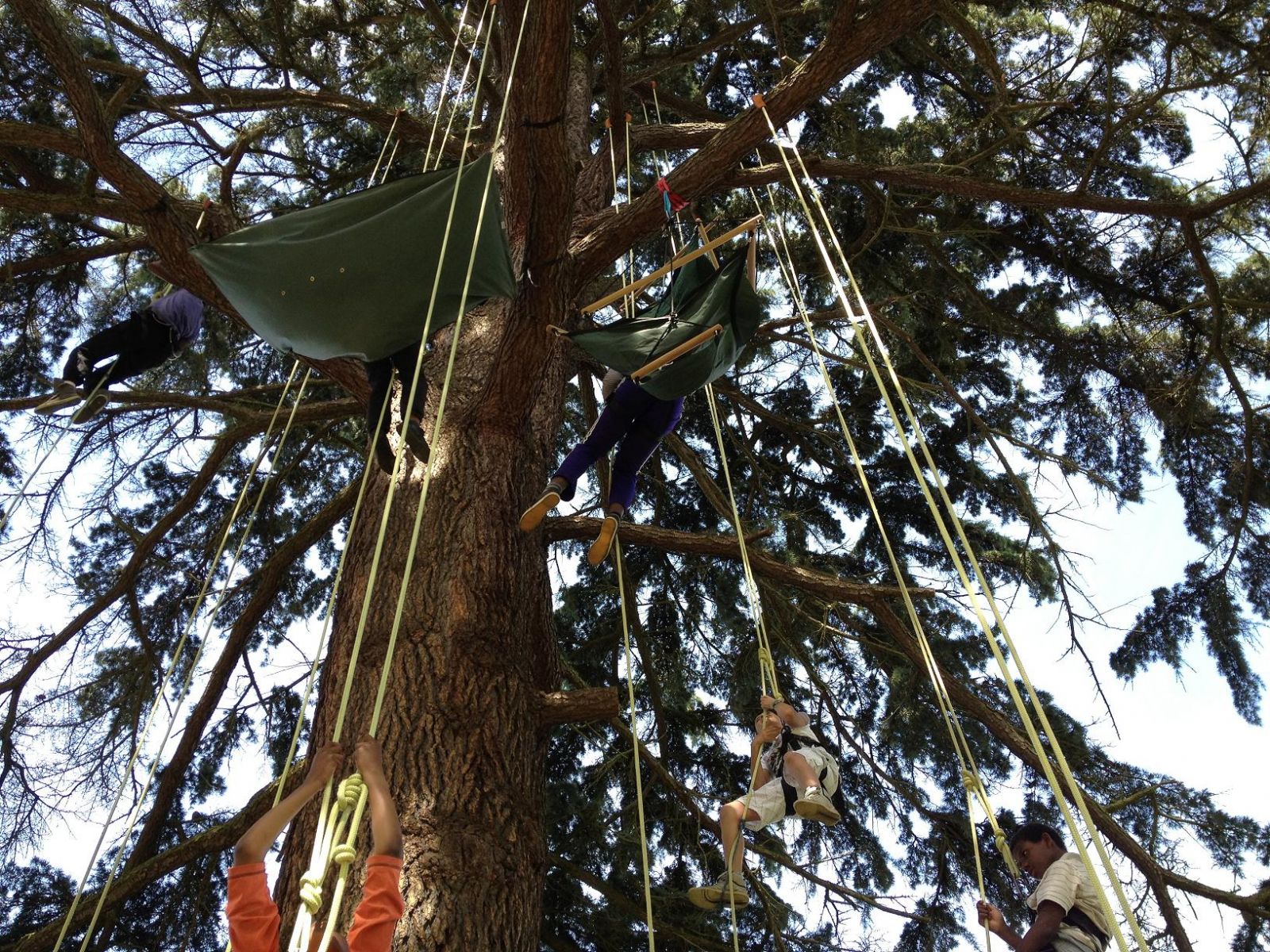 Mini-séjour : grimpe dans les arbres