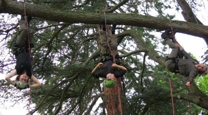 Des scientifiques participent à une journée d’initiation à la grimpe d’arbres !