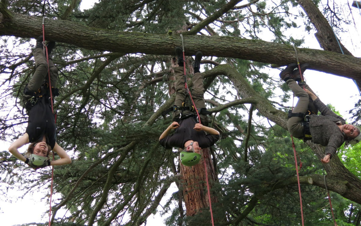 Des scientifiques participent à une journée d'initiation à la grimpe d'arbre